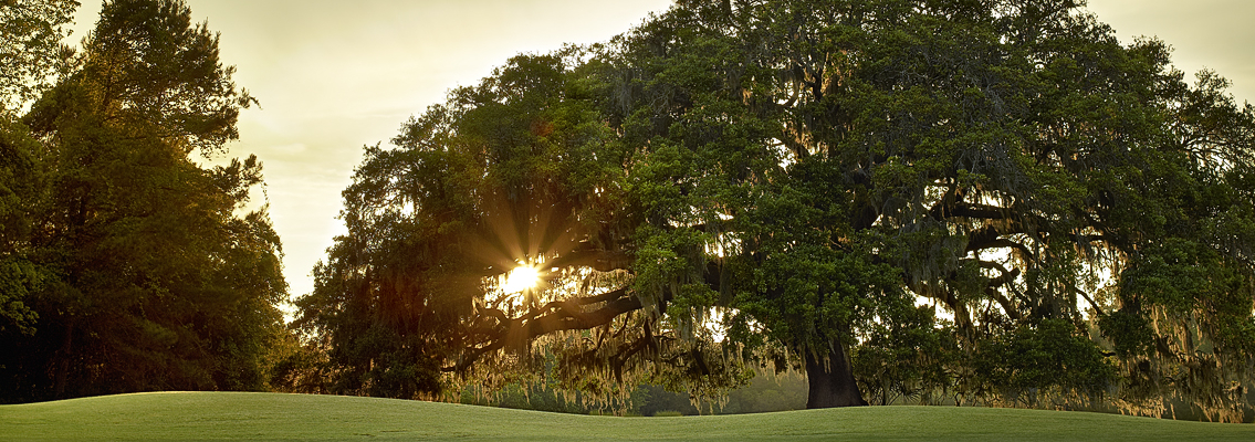 Old South Golf Club